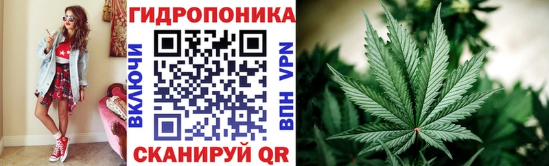 Купить наркотик аптеки Щучье COCAIN  ссылка на мегу tor  Каннабис 