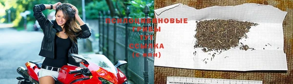 стаф Горняк