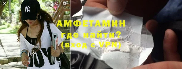 стаф Горняк