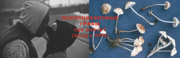 2c-b Гусь-Хрустальный