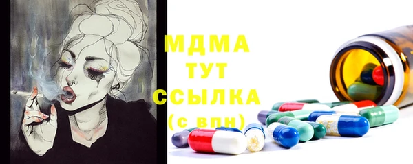 стаф Горняк