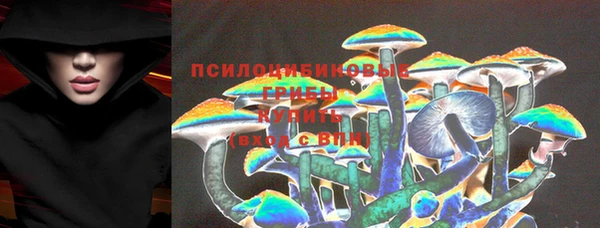 ALPHA-PVP Горнозаводск