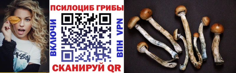 Галлюциногенные грибы MAGIC MUSHROOMS  где купить наркоту  Щучье 